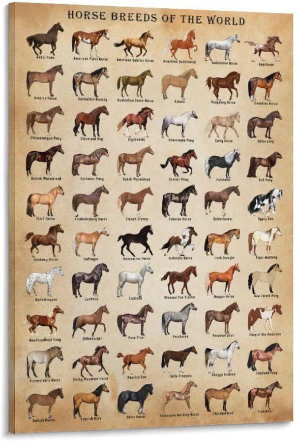 XNLKSI Horse Knowledge Horse Breeds of The World Poster Framed 12x16inch