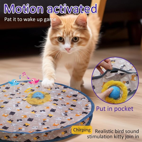 Interactive Cat Toys Ball Fast Rolling in Pouch, Motion Activate Chirping Cat Toy Hide and Seek Mouse Catching Game (Blue) - Image 2