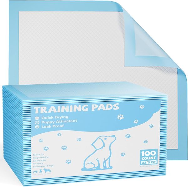 Puppy Pads, Regular Size 22"x22", 100 Count, Pee Pads for Dogs Potty Training, Ultra-Absorbent 6-Layer Leak-Proof, Quick-Dry Surface