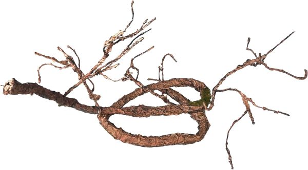 Penn-Plax Flexible Climbing Vines for Reptiles and Amphibians | Multiple Options| Great for Any Terrarium Decor (5' Brown) - Image 3