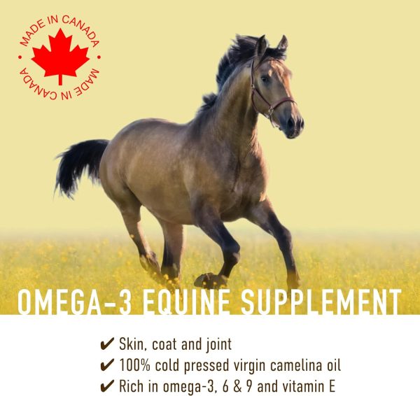 Camelina Oil for Horses, 1 Gallon by Olimega Farm | High in Omega-3 & Vitamin E | Support for Healthy Joints, Coat & Skin | Pure & Cold Pressed | Joint Supplement | Made in Canada | Non-GMO - Image 3