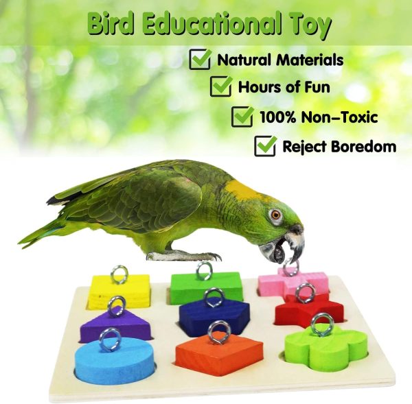 BWOGUE 12PCS Bird Training Toys Parrot Intelligence Toy Mini Sneaker Skateboard Parrot Wooden Block Puzzles Toy Bird Basketball Toy Stacking Rings for Budgie Parakeet Cockatiel Conure Lovebird - Image 5