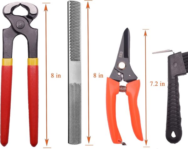 8 inch Farrier Hoof Tool Kit（5 Piece） Mini Rasp Hoof File Goat Pig Equine Metal Shears Farriers Hoof Nipper Cutter Handle Knife Stable Supplies - Image 4