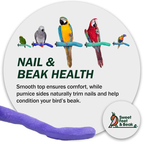 Safety Pumice Perch - Trims Nails and Beak - Promotes Healthy Feet - Safe Non-Toxic Bird Supplies for Bird Cages - Small 8" - Image 8