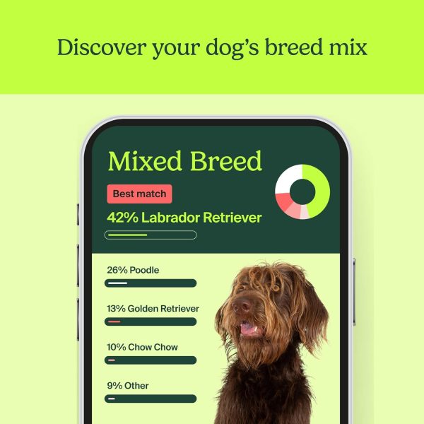 AncestryDNA Know Your Pet DNA: Dog DNA Breed Identification Test, Genetic Traits, DNA Matches, Dog DNA Test, Dog Breed DNA kit, Easy-to-Use Pet DNA Test - Image 2