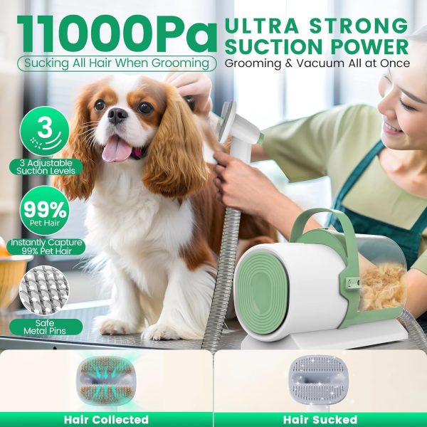 Dog Grooming Vacuum, Pet Grooming Kit, Dog Clipper Nail Trimmer Grinder, 2.5L Dust Cup 7 Grooming Tools 11000Pa Dog Vacuum for Shedding Grooming, Pet Grooming Vacuum for Dogs, Home Cleaning, PG50 Plus - Image 3