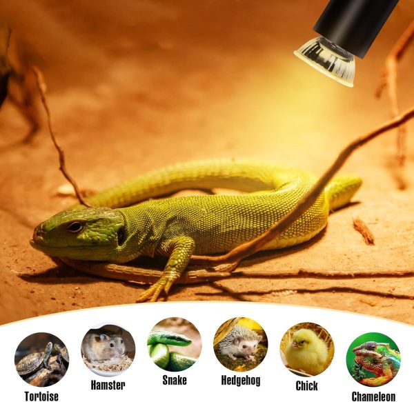 Turtle Heat Lamp Tortoise Bulb: 4-Pack 50W UVB Reptile Heating Bulb for Lizards, Snakes, Aquarium Aquatic Reptile Amphibian - Terrarium Heat Lamps and Habitat Lighting for Pet Supplies - Image 8