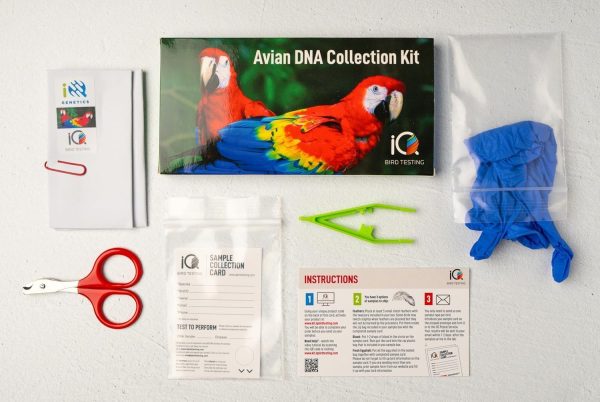 Birds Test Kit - Bird sexing test sample collection kit - Trusted Florida Lab Service - Image 3