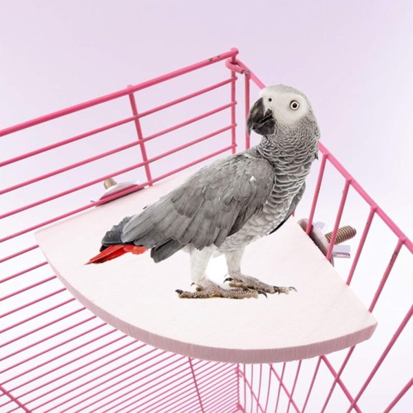 Bird Perch Platform Stand，Wood Perch Bird Platform Parrot Stand Playground Cage Accessories for Small Anminals Rat Hamster Gerbil Rat Mouse Lovebird Finches Conure Budgie Exercise Toy (Semicircle) - Image 3