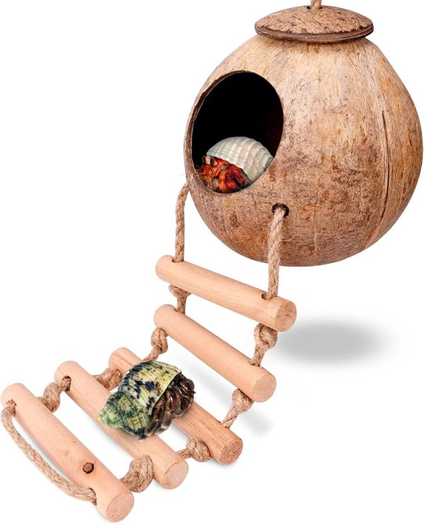 Hermit Crab Coconut Husk Hut with Branch Ladder,Coconut House Hermit Crab Shells Reptile Habitat,Coconut Nest Hangable Suitable for Animal Hiding Sleep (Coconut Shell)