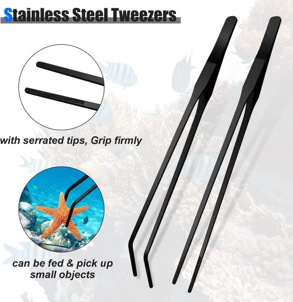 2 Pieces Aquarium Coral Feeder with 2 Pieces Stainless Steel Straight and Curved Feeding Long Tweezers, Acrylic Coral Spot Feeder Long Tube Reptile Feeding Tools for Aquatic Plant Lionfish Marine Fish - Image 4