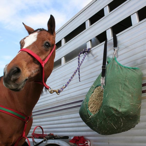 2 Pcs Horse Trailer Cross Tie, Nylon Bucket Strap with Panic Snap and Bull Snap, Adjustable from 44.5" to 78.3" Hanging Strap Horse Supplies for Water Buckets, Outdoor Feeders - Image 6