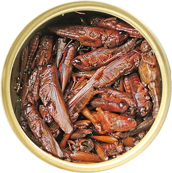 Canned Grasshoppers (1.2 oz.) - Healthy High Protein Insect Treat - Hedgehogs, Sugar Gliders, Reptiles, Wild Birds, Chickens, Lizards, Bearded Dragons, Skunks, Opossums, Fish, Amphibians, Turtles - Image 2