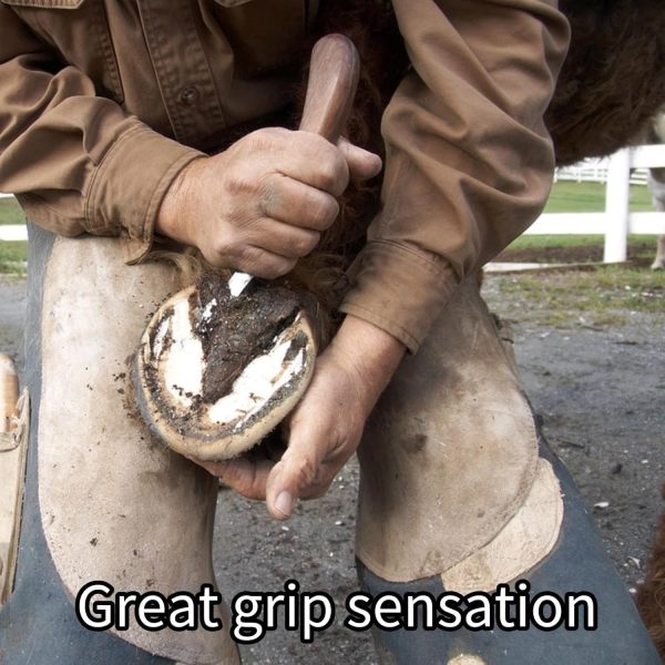 CHICIRIS Hoof Knife, Double Edged Hoof Trimming Knife with Wooden Handle Horse Farrier Tool, Stainless Steel Blade, Multifunctional Cow Horseshoe Knife for Hoof of Cows and Horses - Image 7