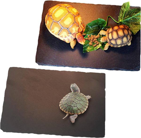 Tfwadmx 2Pcs Reptile Basking Platform Large Tortoise Feeding Bathing Area Turtle Original Rock Plate Grinding Nails Resting Terrace Habitat Decor for Amphibian Reptile Bearded Dragon Chameleon Snake