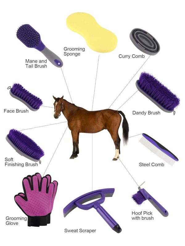 Horse Grooming Kit (12-Piece): Brushes, Storage Bag, Sweat Scraper, Mane Comb, Grooming Gloves - Purple Horse Gifts for Girls - Image 2