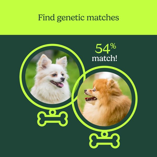 AncestryDNA Know Your Pet DNA: Dog DNA Breed Identification Test, Genetic Traits, DNA Matches, Dog DNA Test, Dog Breed DNA kit, Easy-to-Use Pet DNA Test - Image 4