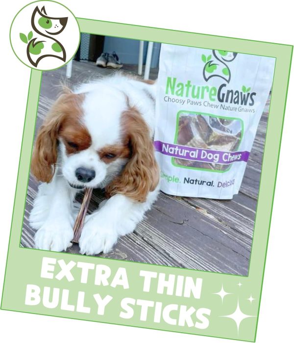 Nature Gnaws Extra Thin Bully Sticks for Small Dogs 5-6" (10 Count) - Long Lasting for Light Chewers and Puppies - Natural Beef Dog Chew Bones - Image 6