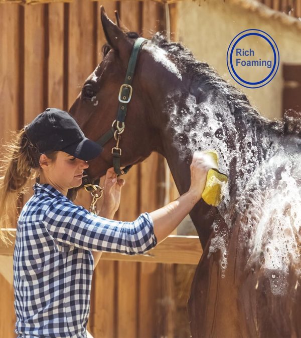 Horse Grooming Kit (12-Piece): Brushes, Storage Bag, Sweat Scraper, Mane Comb, Grooming Gloves - Purple Horse Gifts for Girls - Image 7