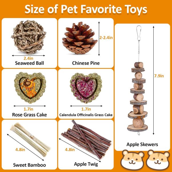 VESPRO Hamster Toys Set, Guinea Pig Toys Small Animal Chewing Toy and Rat Cage Accessories, Chinchillas, Gerbils, Rats, Rabbit Rodents Teeth Care, Apple Wood Timothy Hay Mouse Toy Swing Seesaw Bridge - Image 7