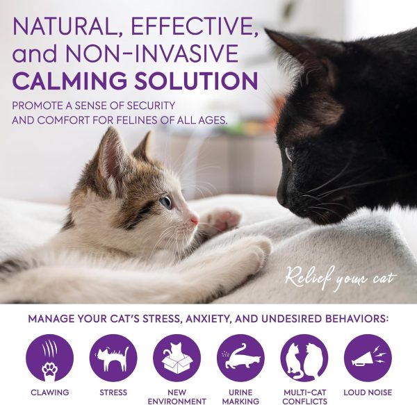 Cat Pheromones Calming Diffuser: Premium Pheromone Diffuser for Cats - Cat Pheromones Diffuser - Cat Calming Diffuser - Cat Calming Pheromone Diffuser, 2 Pack (Purple) - Image 2