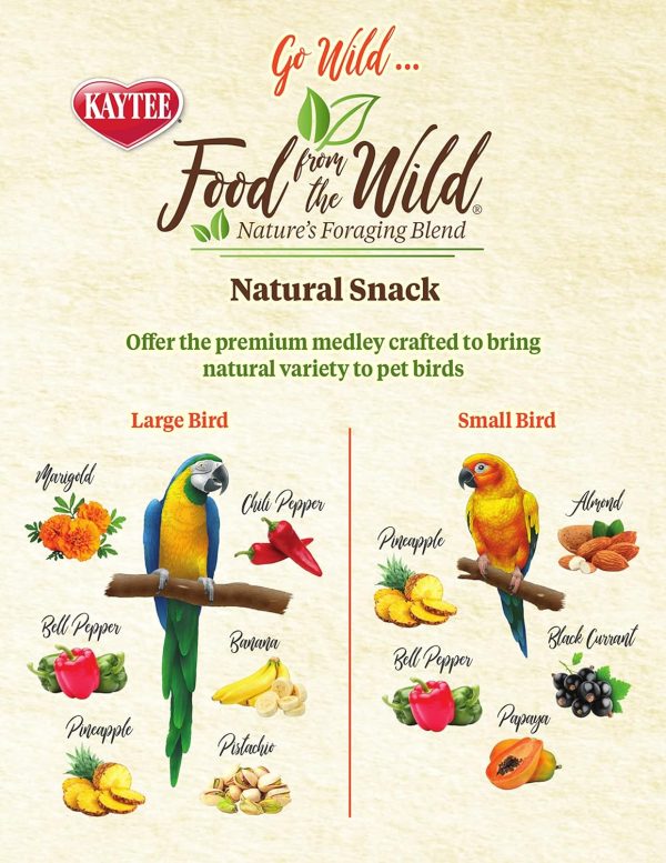 Kaytee Food From The Wild Natural Pet Bird Snack Food Treats For Conures, Pionus, Amazon Parrots, African Greys, Eclectus, Macaws, and Cockatoos, 3 oz. - Image 7