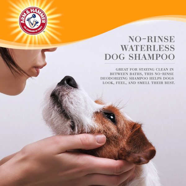 Arm & Hammer for Pets Ultra Fresh Dog Deodorizing Foam, Juniper Mist Scent - No Rinse Waterless Dog Shampoo for Smelly Dogs, Pet Deodorizer, Bathing Supplies, 8 Fl Oz - Image 2