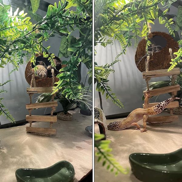 6PCS Crested Gecko Coconut Hut, Lizard Coco Den with Ladder and Reptile Hammock Bearded Dragon Tank Accessories Climbing Hanging Plants Jungle Vine Flexible Reptile Leaves Decor - Image 2