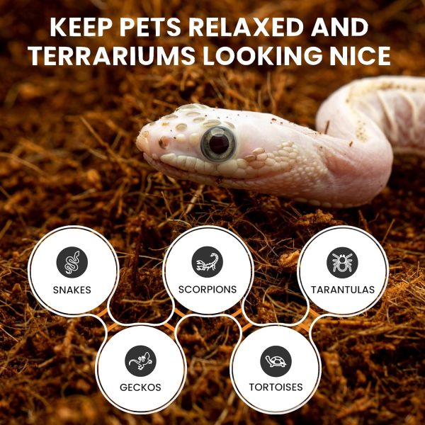 ReptiEarth Reptile Bedding, Fluffy Coconut Fiber Substrate 36 Quart Organic Coco Ready to Use for Bioactive Snake Terrarium, Lizard Tanks with Plants, for Frog, Tarantula or Hermit Crab Habitat (4 Pk) - Image 6