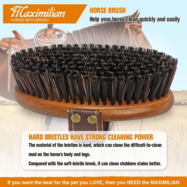 MAXIMILIAN World Class Handmade Equine Stiff Body Horse Brush. Professional Equine Grooming Tools. Effortlessly Removes Mud, Sweat and Dirt from Your Horses Hair. - Image 5