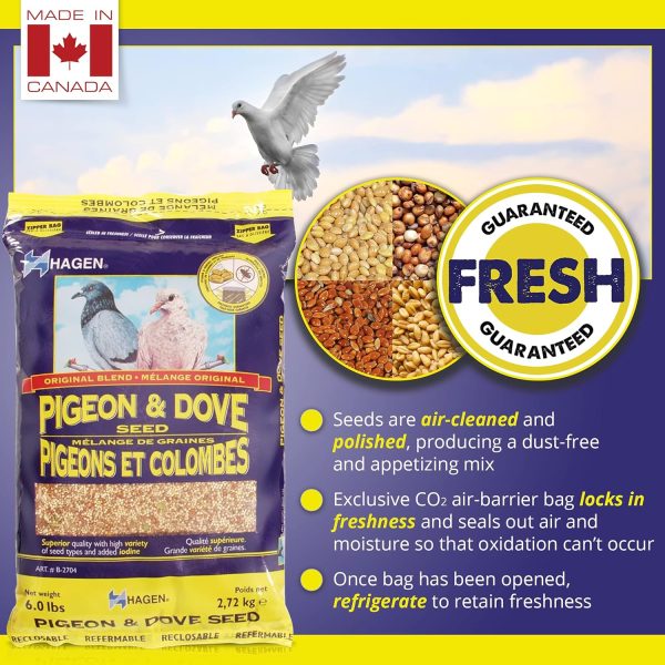 Hagen Pigeon & Dove Seed, Nutritionally Complete Bird Food, original version, 6 Pound (Pack of 1) (B2704) - Image 3