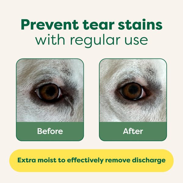 Earth Rated Pet Eye Wipes, Hypoallergenic Eye Wipes for Dogs & Cats to Prevent Tear Stains & Eye Discharge, Fragrance Free, 70 Count - Image 3