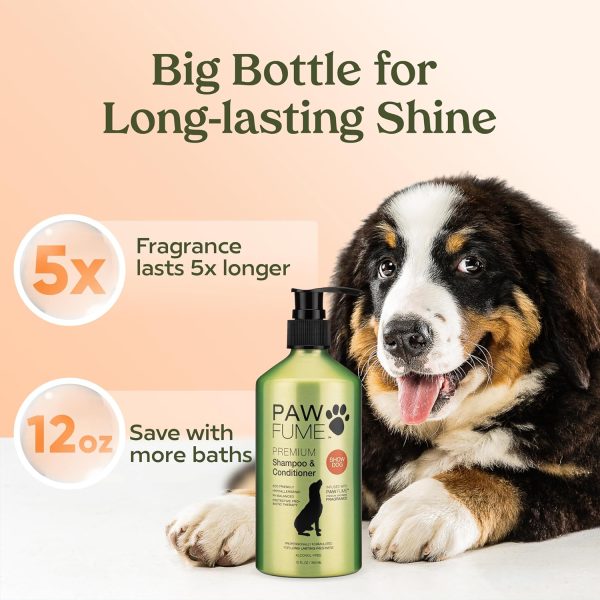 Pawfume Dog Shampoo and Conditioner – Hypoallergenic Dog Shampoo for Smelly Dogs – Best Dog Shampoos & Conditioners – Probiotic Pet Shampoo for Dogs – Best Dog Shampoo for Puppies (Show Dog) - Image 8