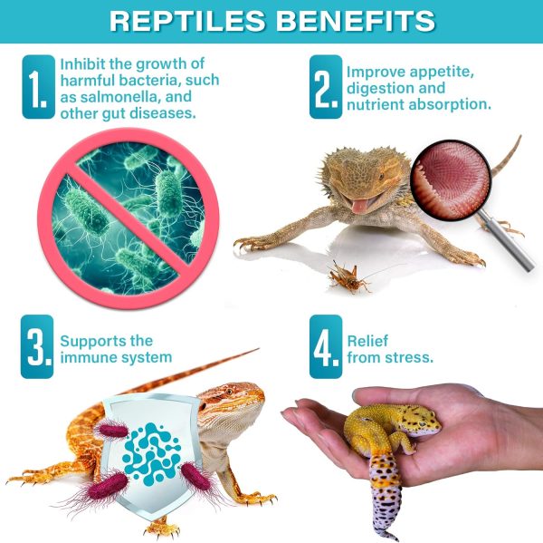 Reptile Probiotics. Improve Appetite, Digestion and Boost Immune System. Supplement 10-12 Pounds of Food with Our 2 Oz Bag. Enjoy! - Image 4