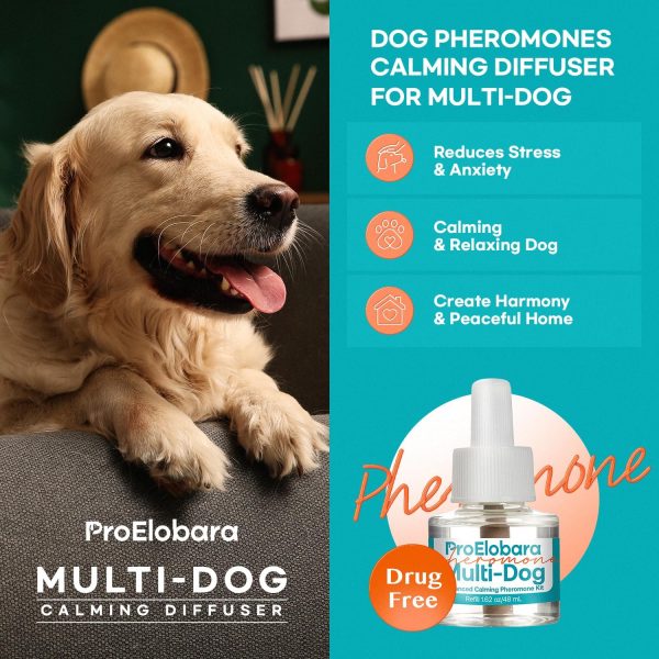 Dog Calming Pheromone Diffuser: Dog Calming Pheromones Plug Diffuser - Reduces Stress & Anxiety Calming Pheromone Diffuser for Dogs - Calm Dogs 60 Supply - Image 2