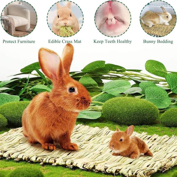 2 PCS Rabbit Grass Mats, Natural Straw Hay Woven Rabbit Bed Cage Mats Pet Handmade Bedding, Sleeping Chewing Nesting and Toys for Hamster Bunny Chinchilla Bird and Other Small Animal (2Pcs) - Image 5