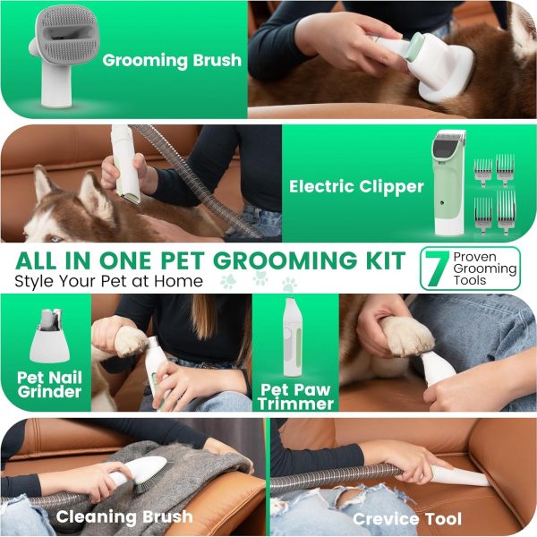 Dog Grooming Vacuum, Pet Grooming Kit, Dog Clipper Nail Trimmer Grinder, 2.5L Dust Cup 7 Grooming Tools 11000Pa Dog Vacuum for Shedding Grooming, Pet Grooming Vacuum for Dogs, Home Cleaning, PG50 Plus - Image 2