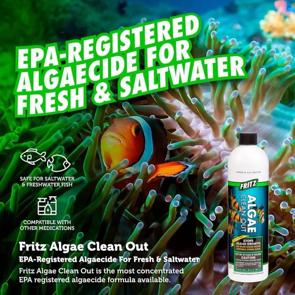 Fritz Aquatics Algae Clean Out - Algaecide for Fresh and Salt Water Aquariums, 16 oz - Image 3