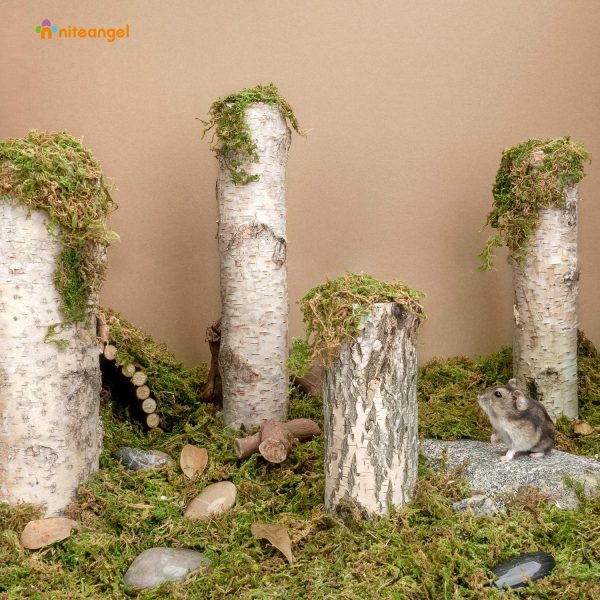 Niteangel 5L Forest Moss Soft Natural Moss Bedding Nesting for Dwarf Syrian Hamsters, Gerbils, mices, Degus or Other Small Animal - Image 2