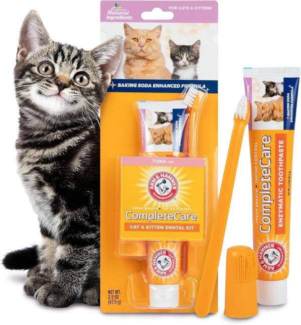 Arm & Hammer for Pets Complete Care Cat & Kitten Dental Kit | Includes 2.5 oz Tuna Flavor Enzymatic Cat Toothpaste, Cat Toothbrush, and Rubber Finger Brush for Cats