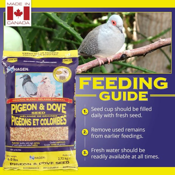 Hagen Pigeon & Dove Seed, Nutritionally Complete Bird Food, original version, 6 Pound (Pack of 1) (B2704) - Image 5