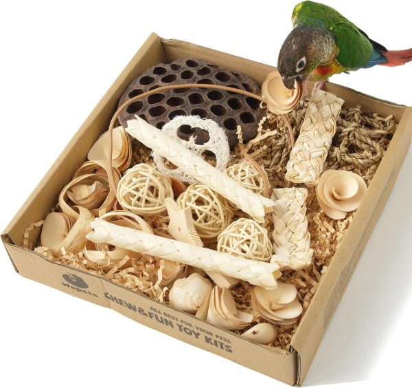 Natural Bird Foraging Toys & Parrot Toys Box Interactive Chewing and Foraging Toys for Parakeets, Cockatiels, Conures, Quakers, Sun Conure, and Other Small to Medium Bird shredding Toys