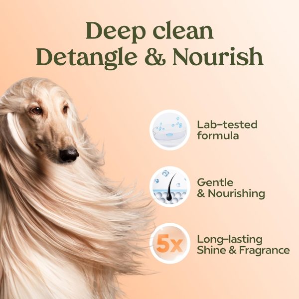 Pawfume Dog Shampoo and Conditioner – Hypoallergenic Dog Shampoo for Smelly Dogs – Best Dog Shampoos & Conditioners – Probiotic Pet Shampoo for Dogs – Best Dog Shampoo for Puppies (Show Dog) - Image 5