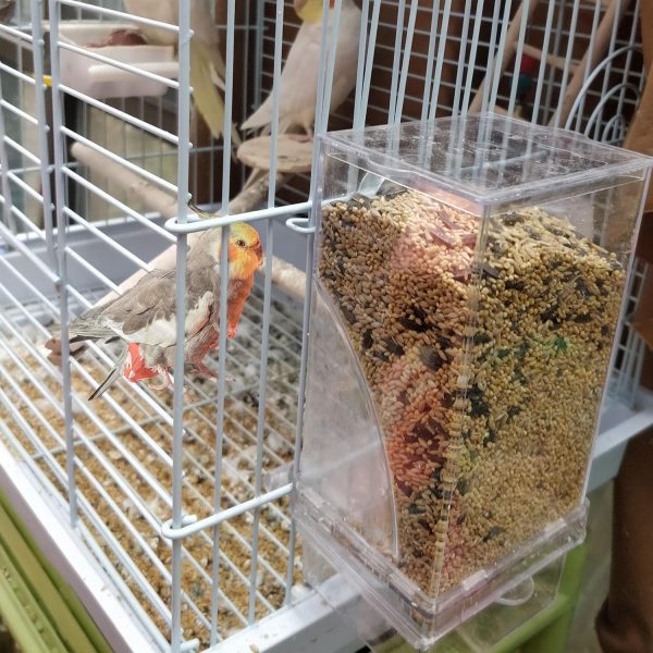 Hamiledyi No Mess Bird Cage Feeder Automatic Parrot Seed Feeders with Perch Acrylic Transparent Seed Food Container Cage Accessories for Small and Medium Parakeets Lovebirds - Image 5