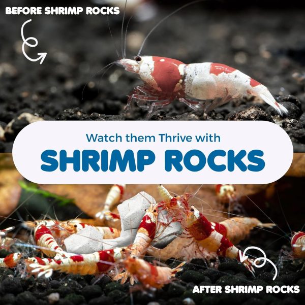 SunGrow Shrimp Rocks, for Crayfish, Hermit Crab, Snails, Crystal Red, Amano and Ghost Shrimps, 2 Ounce - Image 4