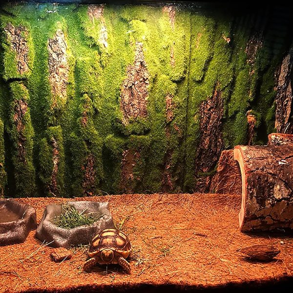 kathson Reptile Terrarium Cork Background,Bearded Dragon Tank Backdrop Wall Decor with Artificial Moss Reptiles Climbing Mat Habitat Cork Bark Decoration for Lizard Snake Gecko Chameleon(4 Pcs)