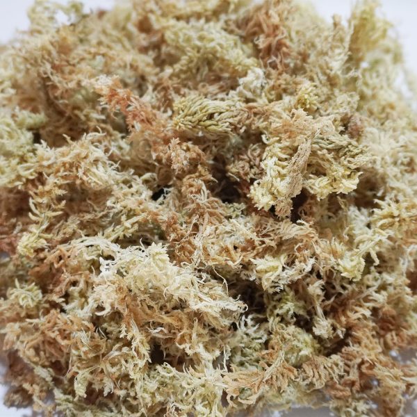 1.4lb Natural Sphagnum Moss for Reptiles,Ideal Humidity Retaining Medium for Snakes,Turtles and Other Reptiles,Good for Terrariums for Reptiles & Amphibians - Image 2