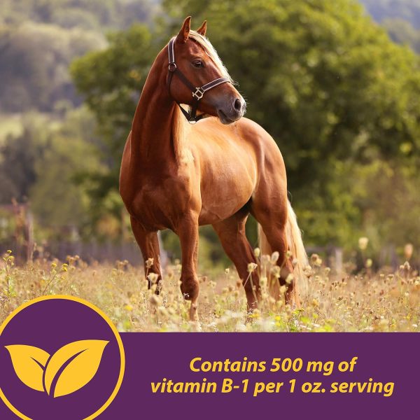 Farnam Horse Health Vita B-1 Crumbles Supplement for Horses, Supports optimal muscle activity and metabolism for performance, 3 pounds, 48 day supply - Image 4