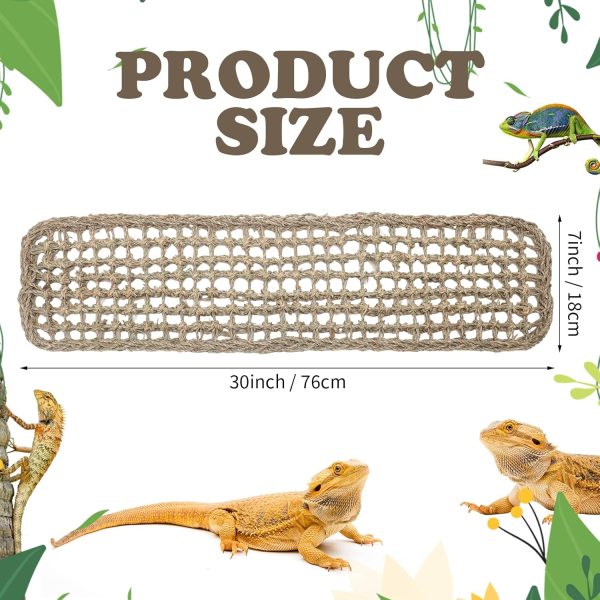 Silkfly 2 Pieces Bearded Dragon Hammock Lizard Reptile Climbing Lounger Seagrass Fiber Habitat Tank Accessories Jungle Toys for Hermit Crab Gecko Snake Iguana Amphibian - Image 2