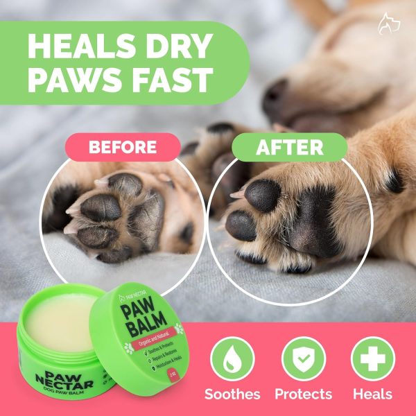 Dog Paw Balm (2 oz) - Heals, Repairs & Restores Dry, Cracked & Damaged Paws - 100% Organic & Natural Moisturizer & Protection for Dog Feet & Foot Pads - Effective & Safe - Image 2